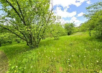 Terreno - Rustico Niella Belbo - foto 15