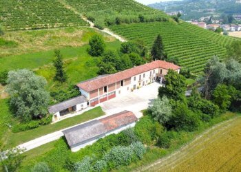 Vista - Rustico via Pittatori, Alba - foto 2