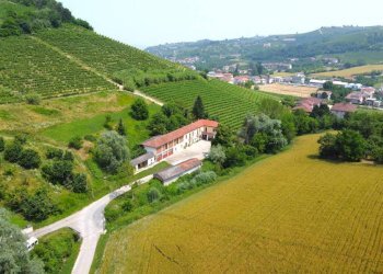 Terreno - Rustic via Pittatori, Alba - photo 3
