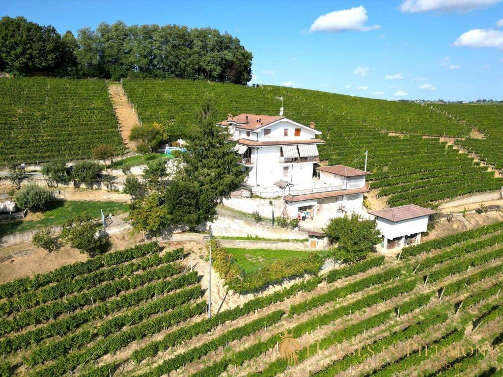 Terreno - Villa Strevi - foto 3