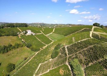 Terreno - Villa Strevi - foto 4