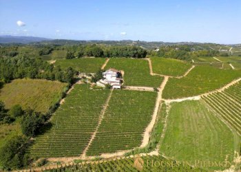 Terreno - Villa Strevi - foto 7