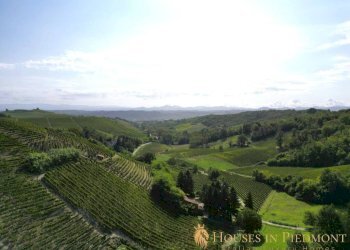 Vista - Villa Strevi - foto 8