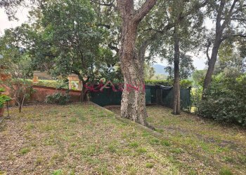 Foto 22 - Villa Castiglione della Pescaia - foto 22
