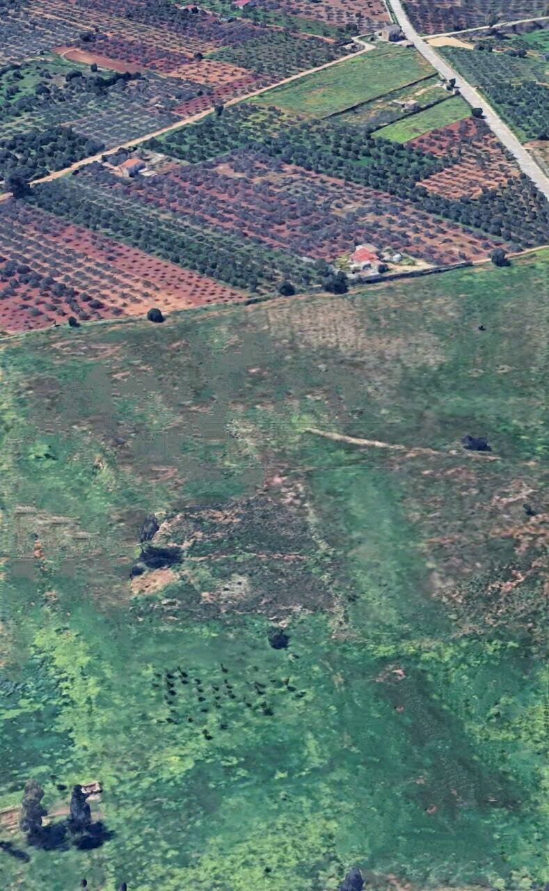 539899721_1152863096899571_8337459276761522071_n.j - Agricultural land Castelvetrano - photo 2