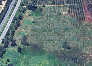 517583792_1152863010232913_784577402667008650_n.jp - Agricultural land Castelvetrano - photo 1