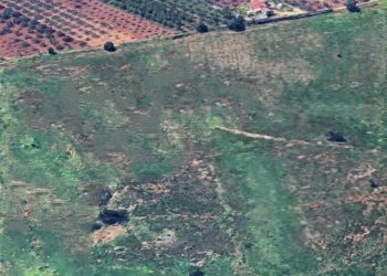 539899721_1152863096899571_8337459276761522071_n.j - Agricultural land Castelvetrano - photo 2