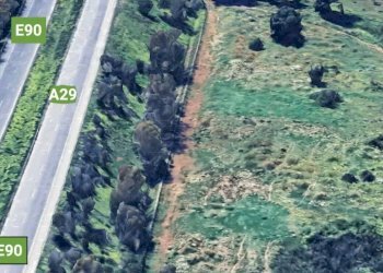 540698167_1152863070232907_1391278917871647741_n.j - Agricultural land Castelvetrano - photo 3