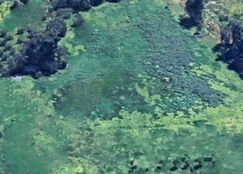 540965899_1152863170232897_3446029119435165806_n.j - Agricultural land Castelvetrano - photo 4