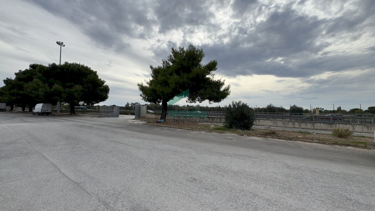 dettagli - Locale Commerciale Strada Statale 100, Snc Snc, Casamassima - foto 3