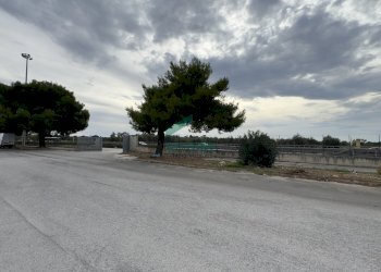 dettagli - Locale Commerciale Strada Statale 100 18, Casamassima - foto 3