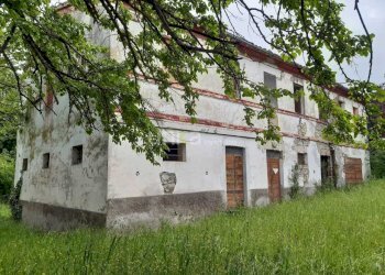 WhatsApp Image 2025-06-29 at 11.36.03.jpeg - Casa indipendente via Barchio  2, Cupramontana - foto 2