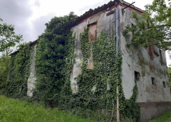 WhatsApp Image 2025-06-29 at 11.36.00.jpeg - Casa indipendente via Barchio  2, Cupramontana - foto 3