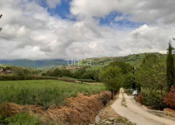 WhatsApp Image 2025-06-29 at 11.35.49.jpeg - Casa indipendente via Barchio  2, Cupramontana - foto 4