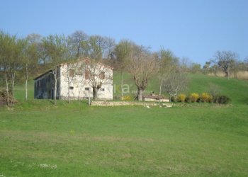 DSC03233.JPG - Casa indipendente via Barchio  2, Cupramontana - foto 7