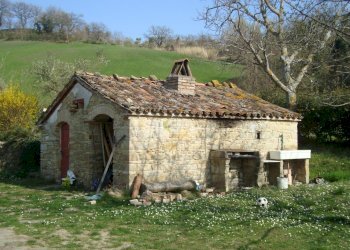 DSC03239.JPG - Casa indipendente via Barchio  2, Cupramontana - foto 9