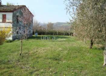 DSC03243.JPG - Casa indipendente via Barchio  2, Cupramontana - foto 10