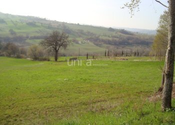 DSC03245.JPG - Casa indipendente via Barchio  2, Cupramontana - foto 12