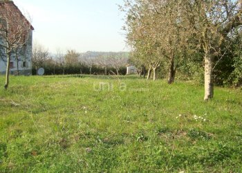 DSC03264.JPG - Casa indipendente via Barchio  2, Cupramontana - foto 13