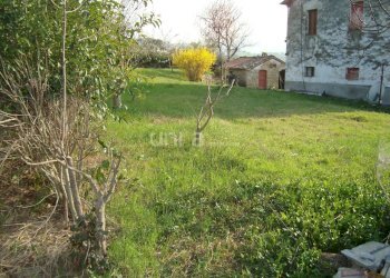 DSC03265.JPG - Casa indipendente via Barchio  2, Cupramontana - foto 14