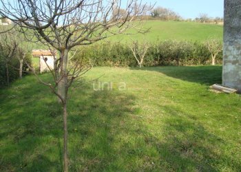 DSC03268.JPG - Casa indipendente via Barchio  2, Cupramontana - foto 15