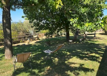 garden (3).jpg - Casale Via San Bartolomeo 1, Montecchio - foto 29