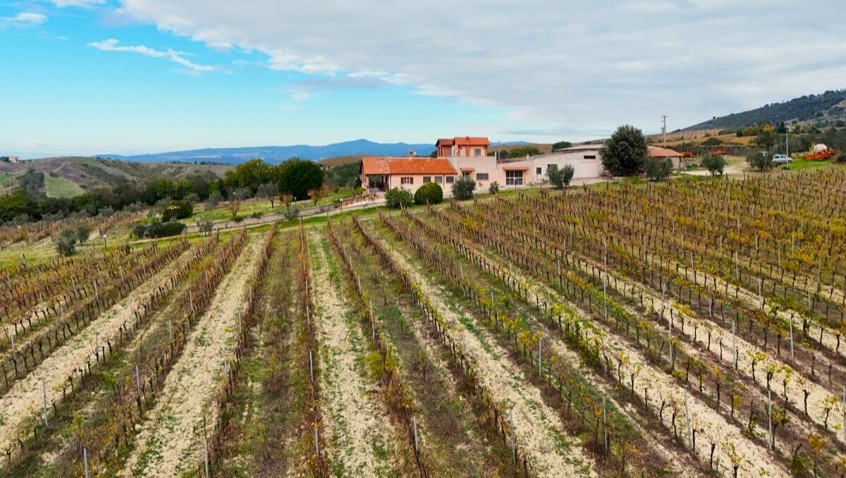 front.jpg - Independent house Via Pilli snc, Montecchio - photo 1