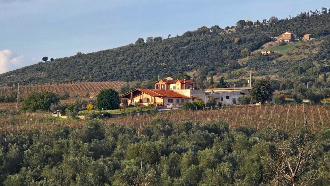 20251101_160514.jpg - Independent house Via Pilli snc, Montecchio - photo 2