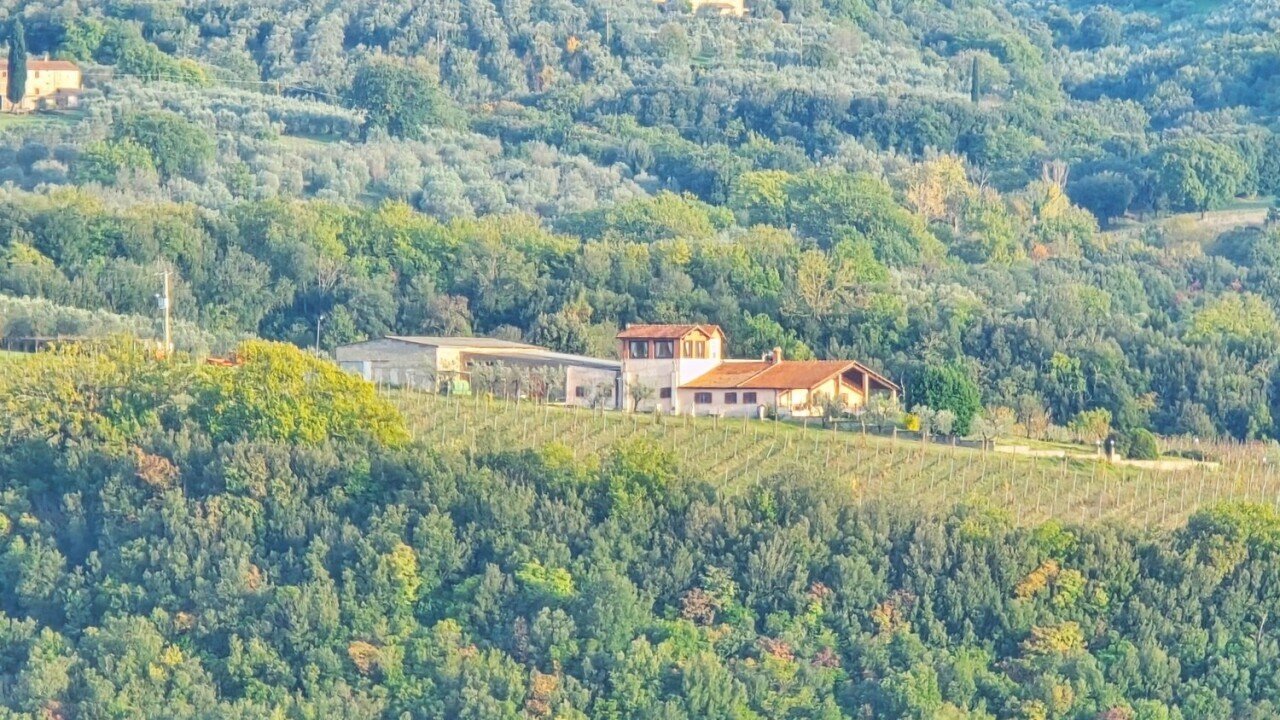 20251101_155840.jpg - Independent house Via Pilli snc, Montecchio - photo 3