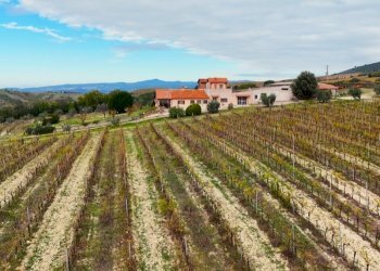 front.jpg - Independent house Via Pilli snc, Montecchio - photo 1