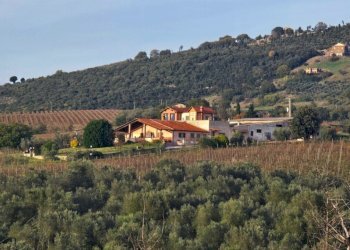 20251101_160514.jpg - Independent house Via Pilli snc, Montecchio - photo 2