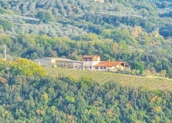 20251101_155840.jpg - Independent house Via Pilli snc, Montecchio - photo 3