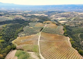 DJI_20251017102128_0029_D.jpg - Independent house Via Pilli snc, Montecchio - photo 4