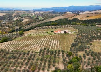 DJI_20251017102431_0036_D.jpg - Independent house Via Pilli snc, Montecchio - photo 5