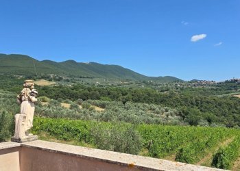 tenuta agricola (4).jpg - Independent house Via Pilli snc, Montecchio - photo 8