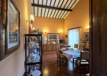 wineyard (4).jpg - Independent house Via Pilli snc, Montecchio - photo 17