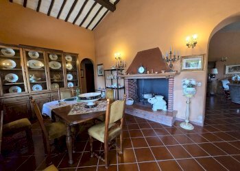 wineyard (3).jpg - Independent house Via Pilli snc, Montecchio - photo 18