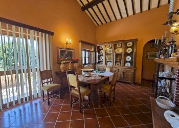 wineyard (2).jpg - Independent house Via Pilli snc, Montecchio - photo 19