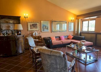 wineyard (6).jpg - Independent house Via Pilli snc, Montecchio - photo 21