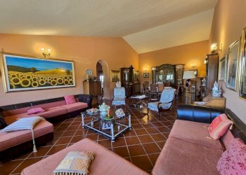 wineyard (10).jpg - Independent house Via Pilli snc, Montecchio - photo 22