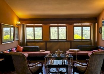 wineyard (8).jpg - Independent house Via Pilli snc, Montecchio - photo 23