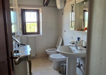 wineyard (5).jpg - Independent house Via Pilli snc, Montecchio - photo 30