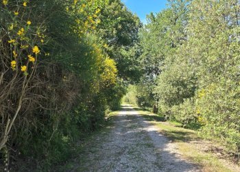 entrance (2).jpg - Casale Via delle piane  snc, Castel Viscardo - photo 4