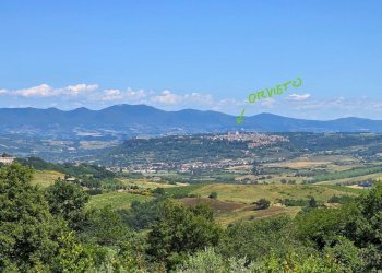 orveito.jpg - Casale Via delle piane  snc, Castel Viscardo - photo 12