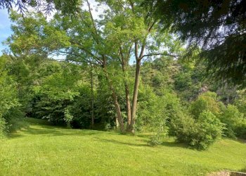 Rif 1841 (5).jpg - Casale Via Ferriera d'Alto 3, Pontinvrea - foto 10