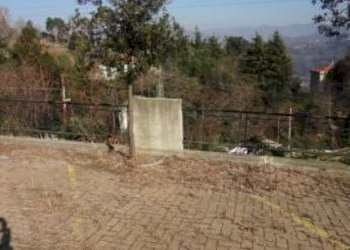 9.jpg - Posto Auto all'asta Salita Murta snc, Genova (zona Bolzaneto) - foto 8