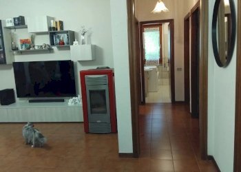 Appartamento Podenzana - foto 32