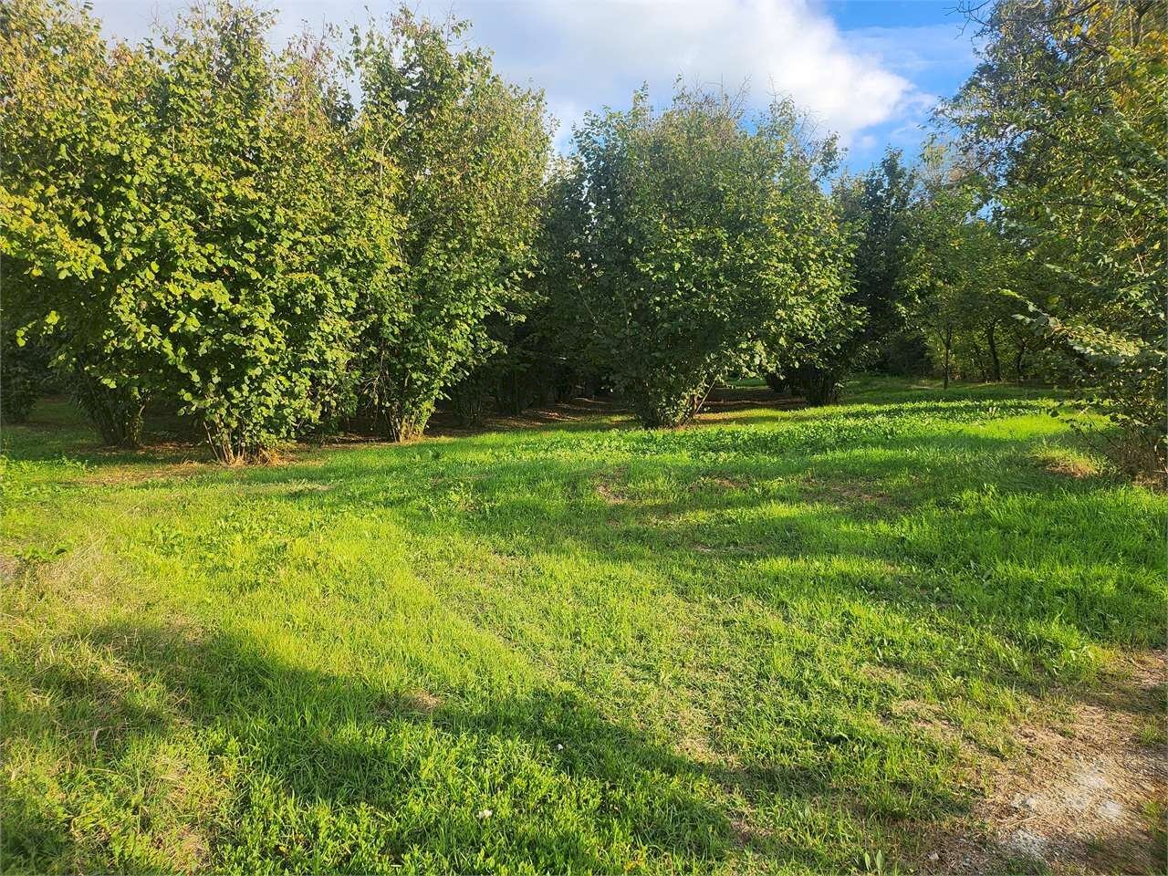 Terreno edificabile Fossano - foto 3