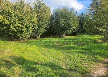 Terreno edificabile Fossano - foto 3