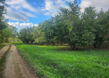 Terreno edificabile Fossano - foto 6